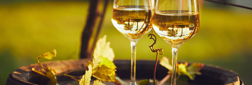 decouvrir-les-meilleurs-vins-du-monde